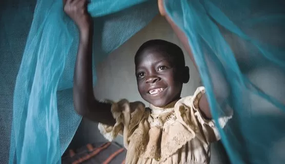 Circular mosquito net