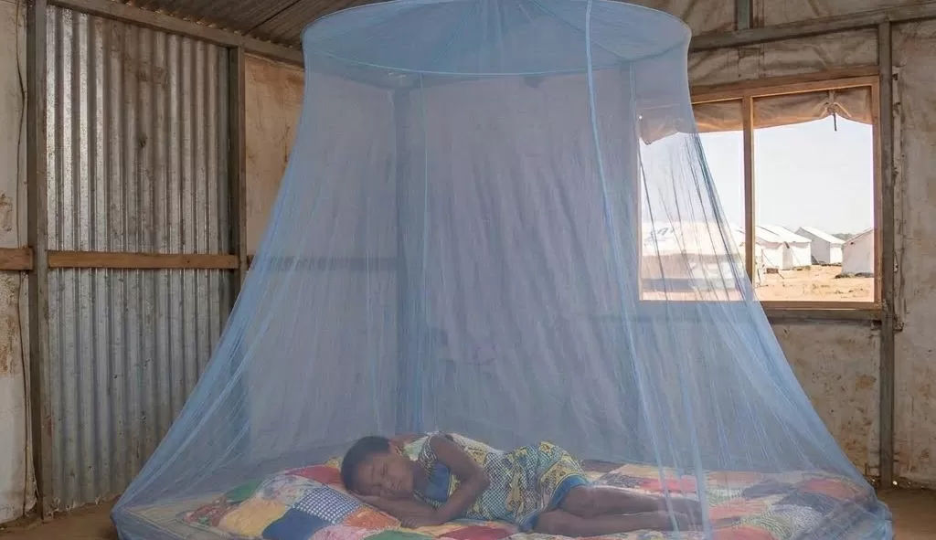 circular mosquito net -2