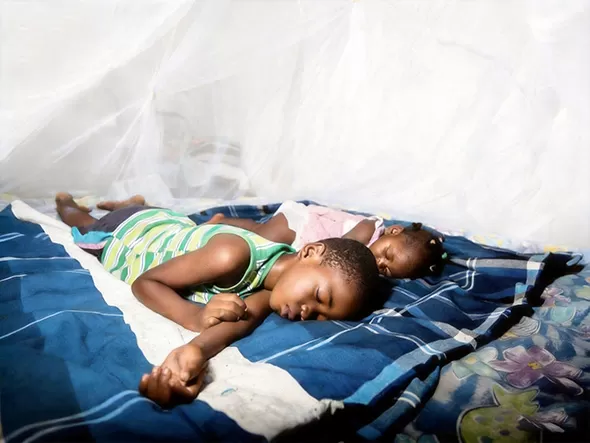 Rectangular mosquito net