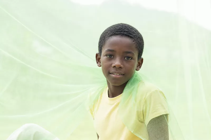 Mosquito net detail 3