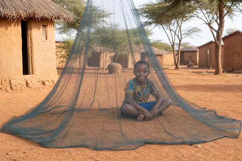 Mosquito net detail 1