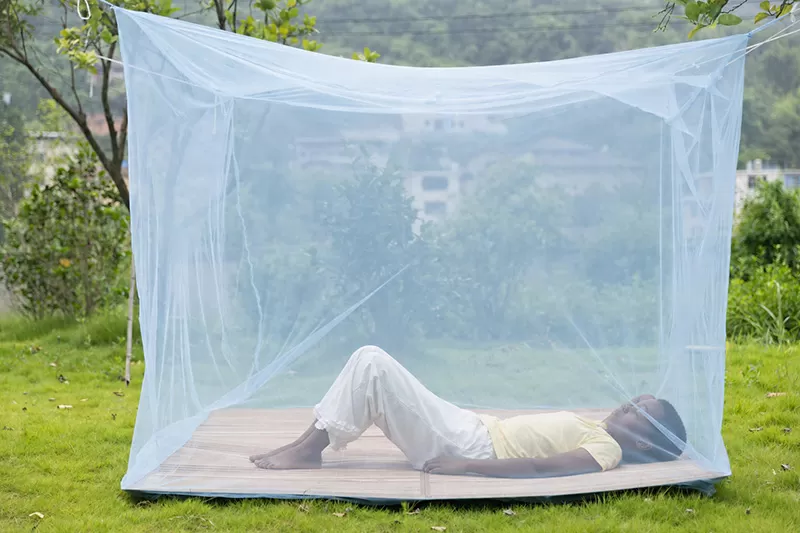 Mosquito net detail 1