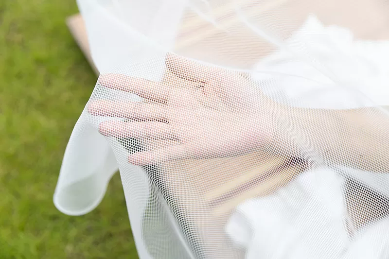 Mosquito net detail 2