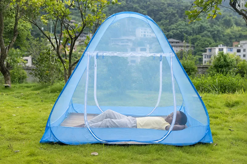 Mosquito net detail 1