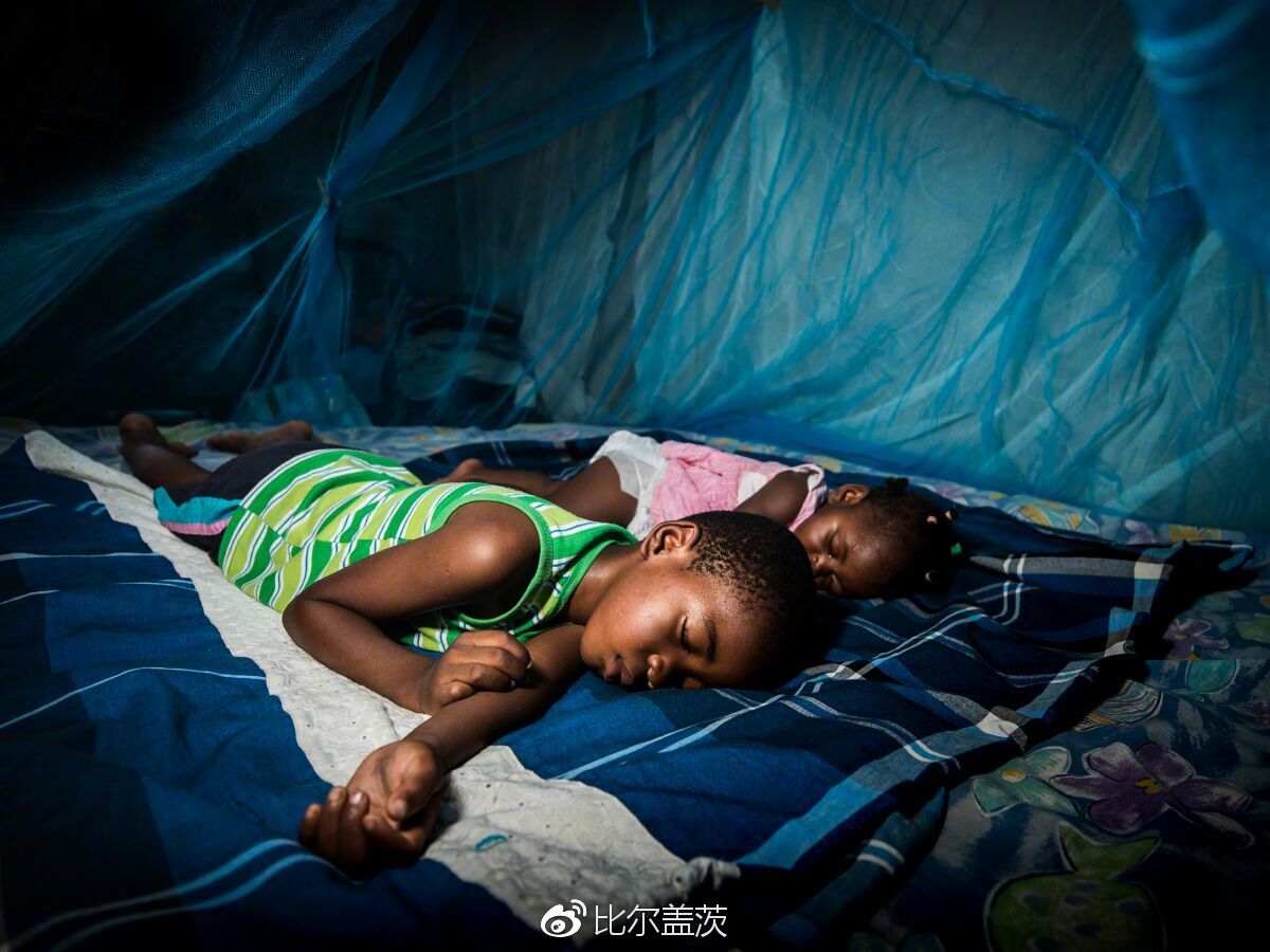 Rectangular mosquito net