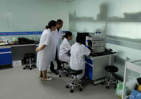Research insecticide-treated mosquito nets